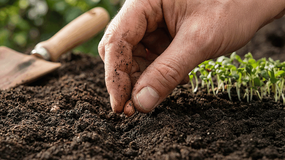 Procurement Excellence